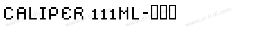 CALIPER 111ML字体转换